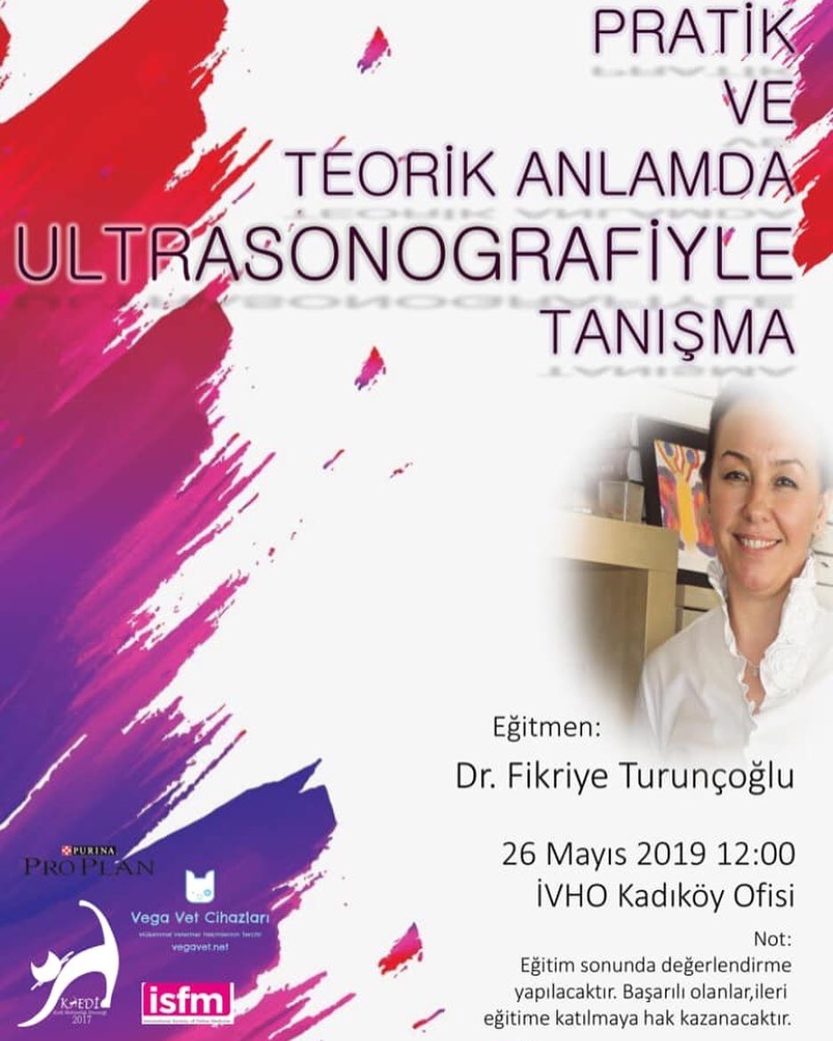 Pratik ve Teorik Anlamda Ultrasonografiyle Tanışma