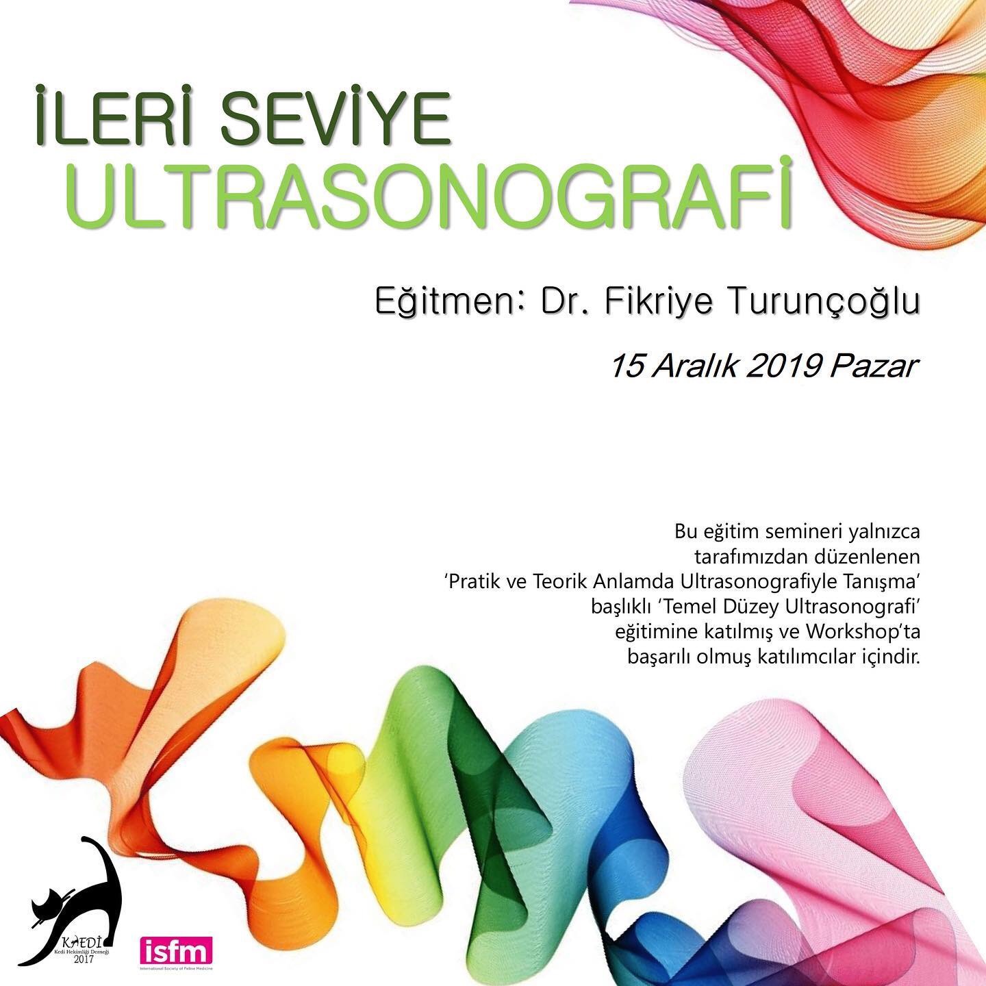 Ultrasonografi II