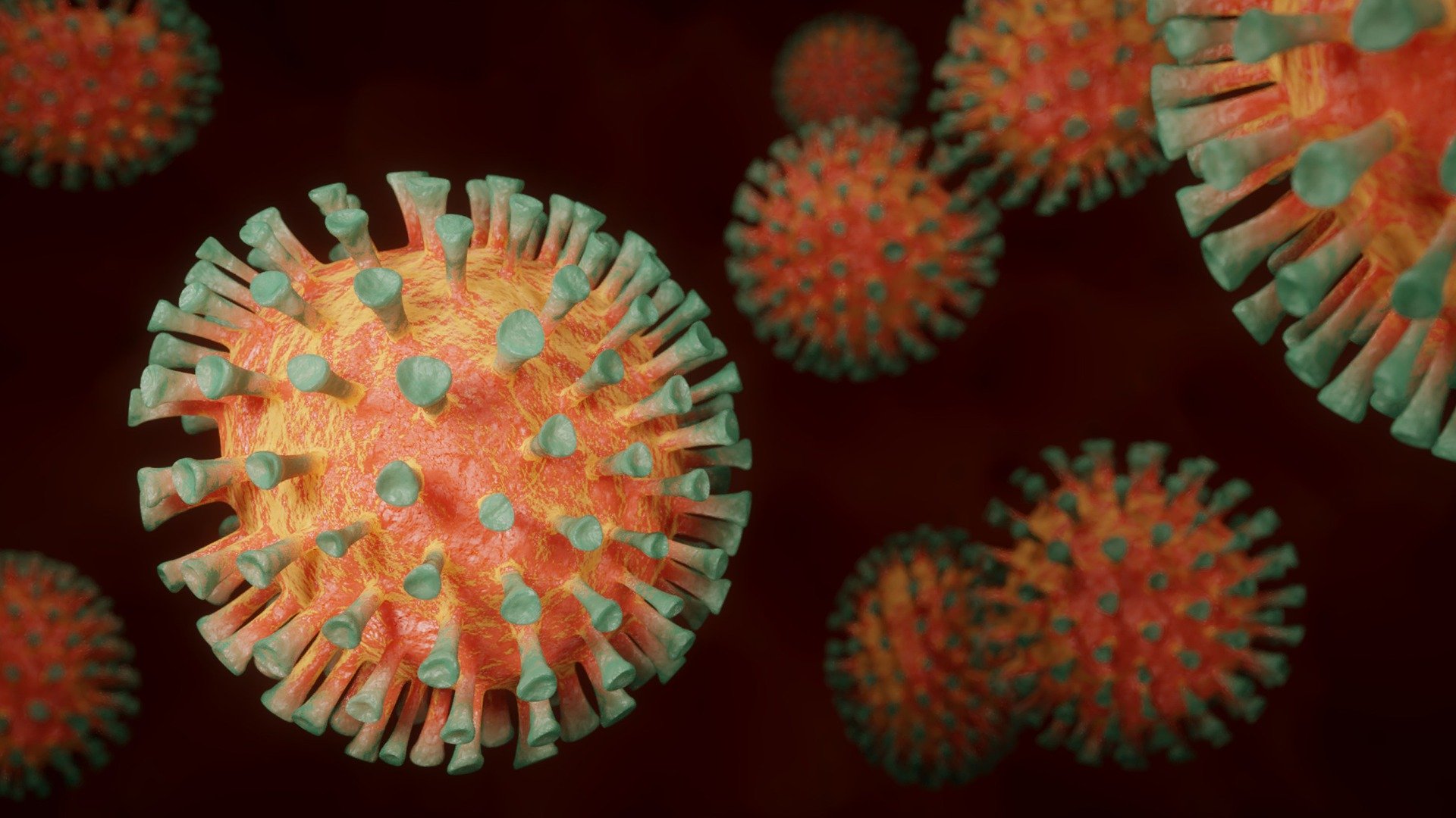 Coronavirus Hakkında Bilgilendirme 
